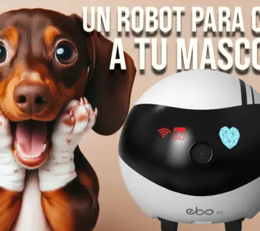 Ebo: El Compañero Ideal para el Cuidado de Mascotas